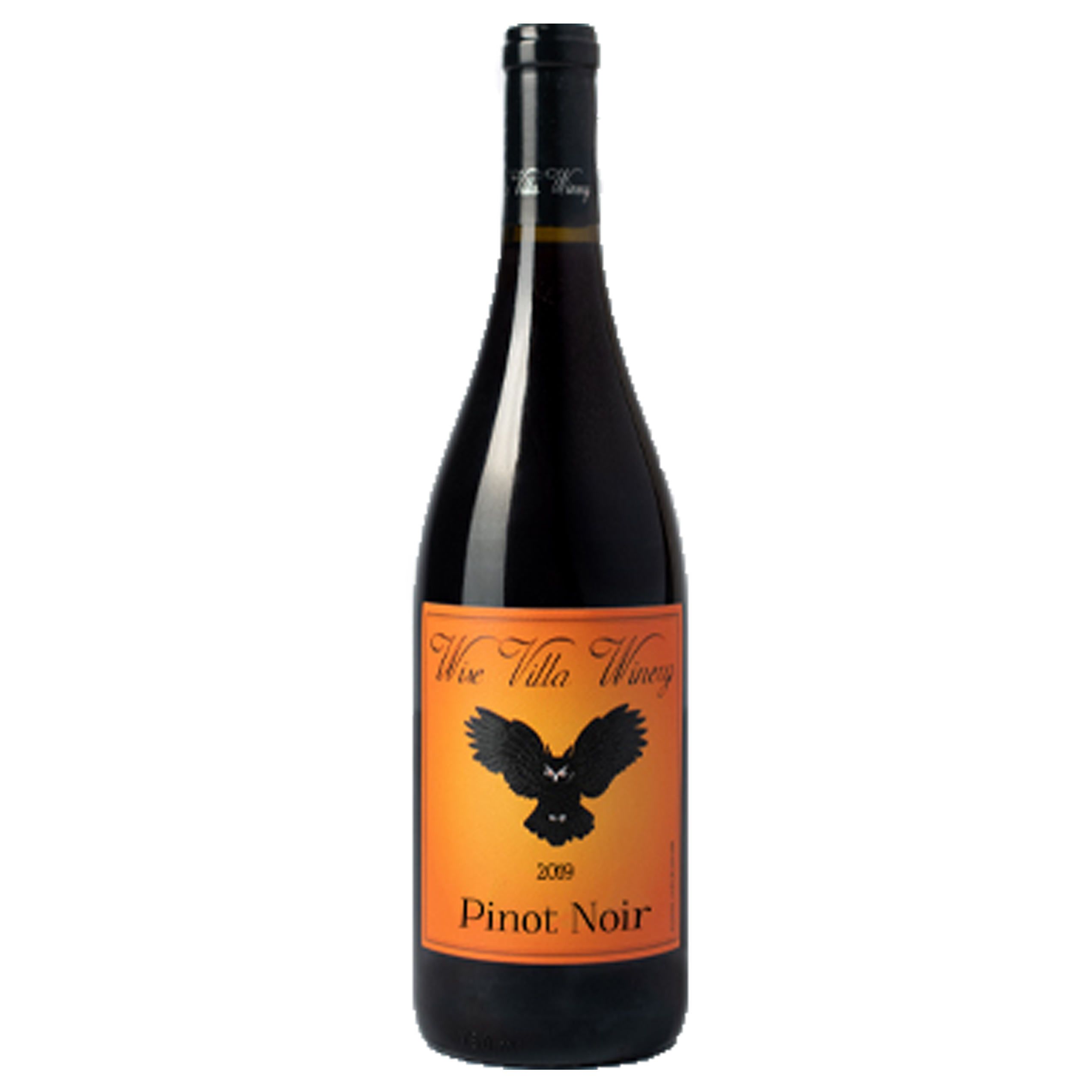 Product Image for 2019 Pinot Noir
